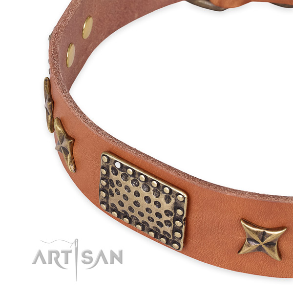 Natural genuine leather collar with corrosion resistant hardware for your attractive four-legged friend