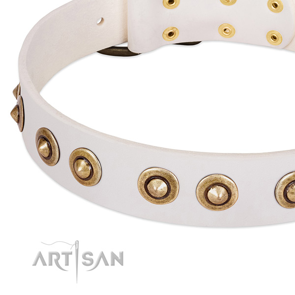 Strong fittings on leather dog collar for your dog
