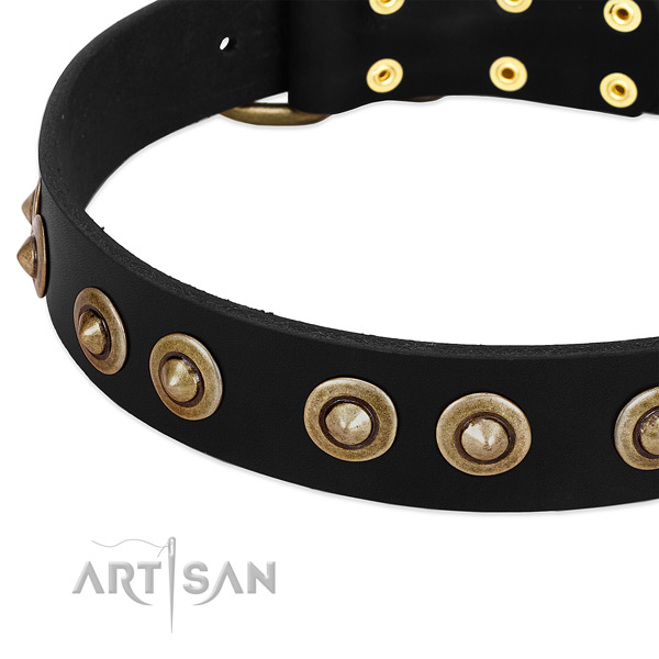 Reliable decorations on genuine leather dog collar for your four-legged friend