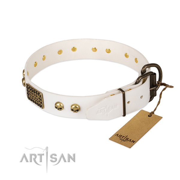Easy wearing full grain natural leather dog collar for daily walking your dog