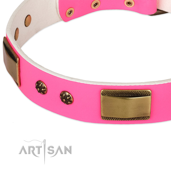 Corrosion proof fittings on leather dog collar for your pet