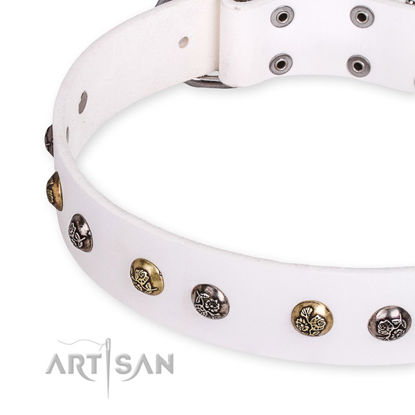 Full grain leather dog collar with stylish design corrosion resistant decorations