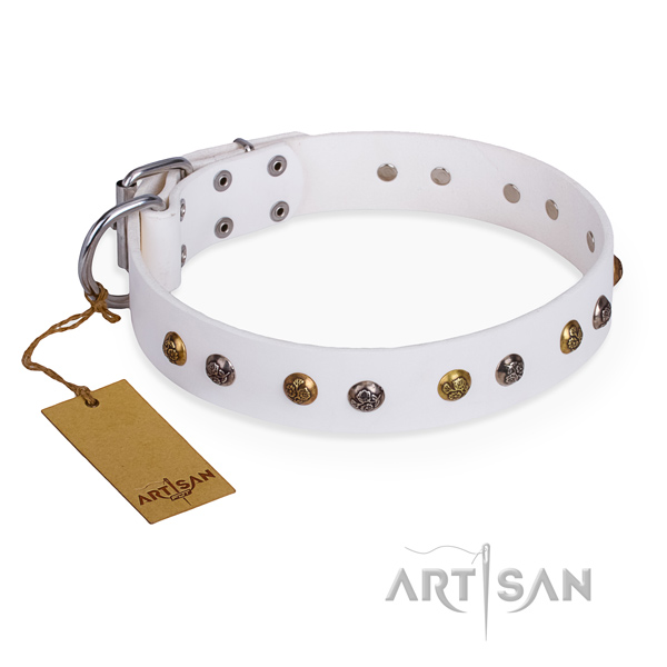 Walking stylish dog collar with corrosion resistant hardware