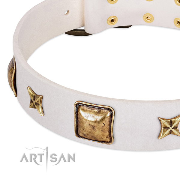 Corrosion proof adornments on leather dog collar for your canine