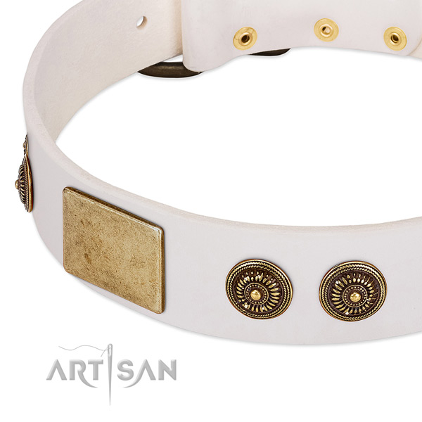 Incredible dog collar created for your impressive canine