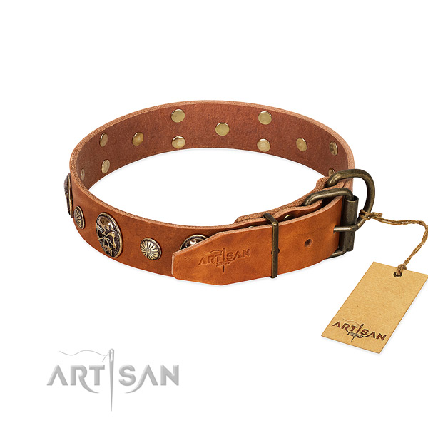 Strong hardware on full grain natural leather collar for basic training your four-legged friend