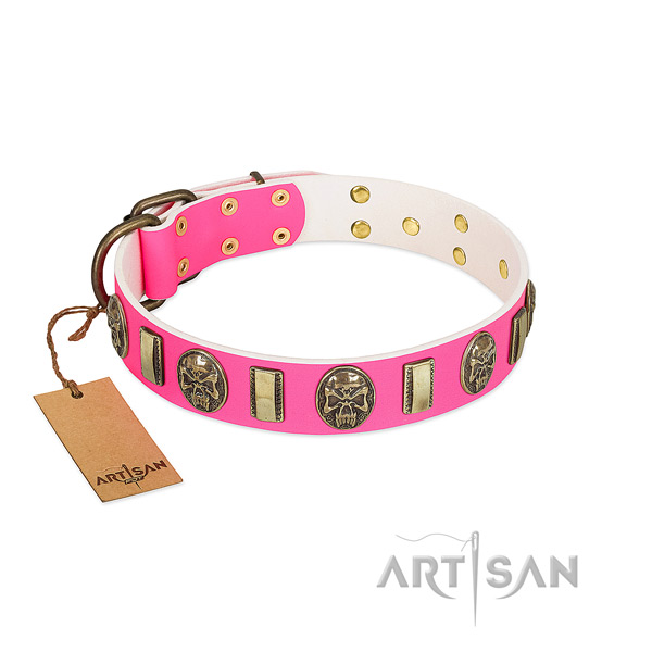 Corrosion proof traditional buckle on full grain genuine leather dog collar for your dog