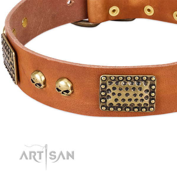Rust resistant hardware on leather dog collar for your pet