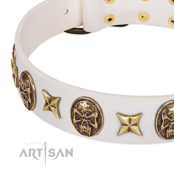 Awesome dog collar made for your stylish four-legged friend