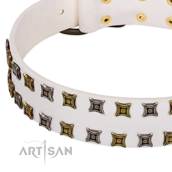 Quality leather dog collar for your beautiful doggie
