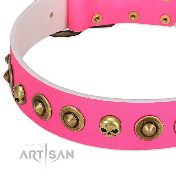 Fashionable studs on natural leather collar for your dog