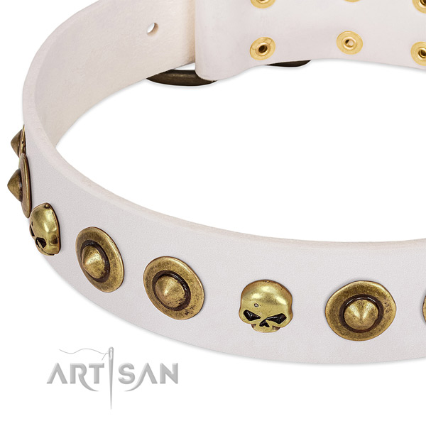Significant adornments on natural leather collar for your doggie