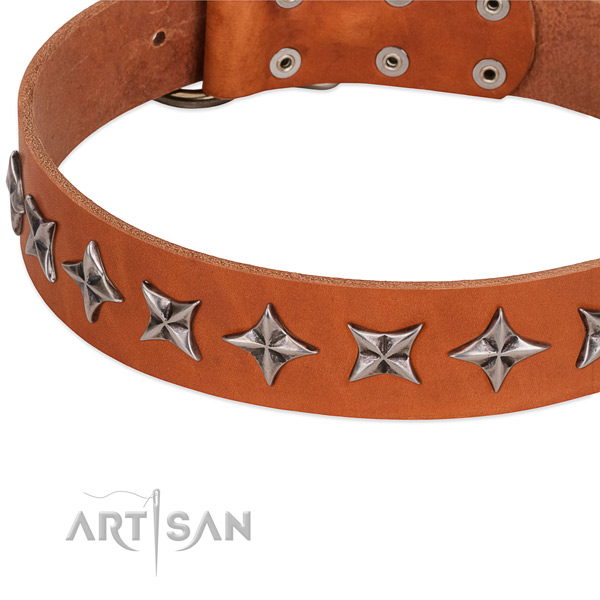 Daily walking decorated dog collar of quality natural leather