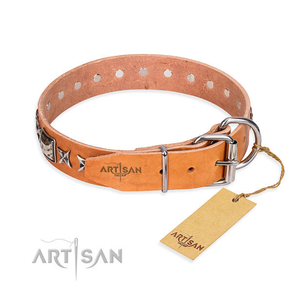 Top quality embellished dog collar of full grain genuine leather