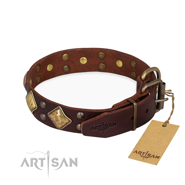 Full grain leather dog collar with impressive reliable embellishments
