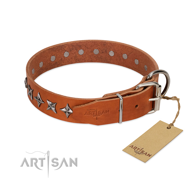 Everyday walking studded dog collar of top notch genuine leather