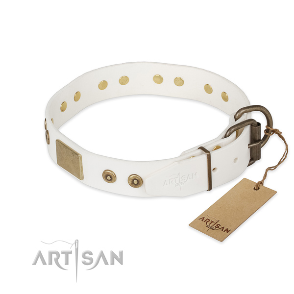 Leather dog collar with rust resistant fittings and decorations