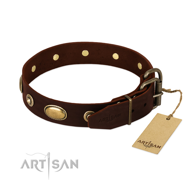 Durable studs on natural leather dog collar for your four-legged friend