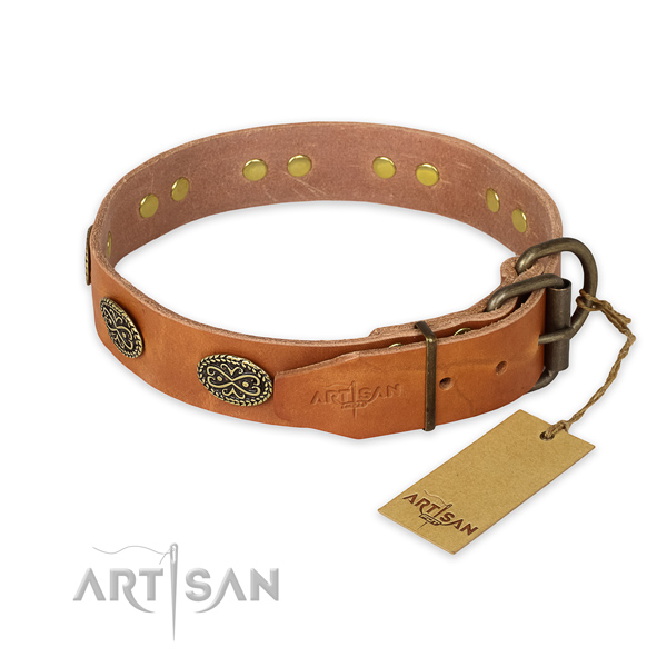 Rust-proof hardware on leather collar for walking your canine