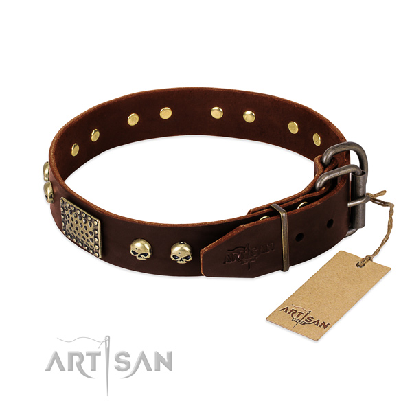 Durable studs on handy use dog collar