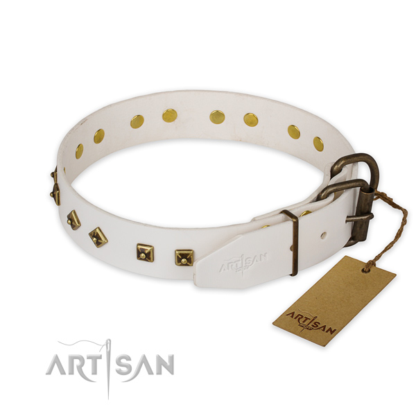 Strong hardware on leather collar for everyday walking your four-legged friend