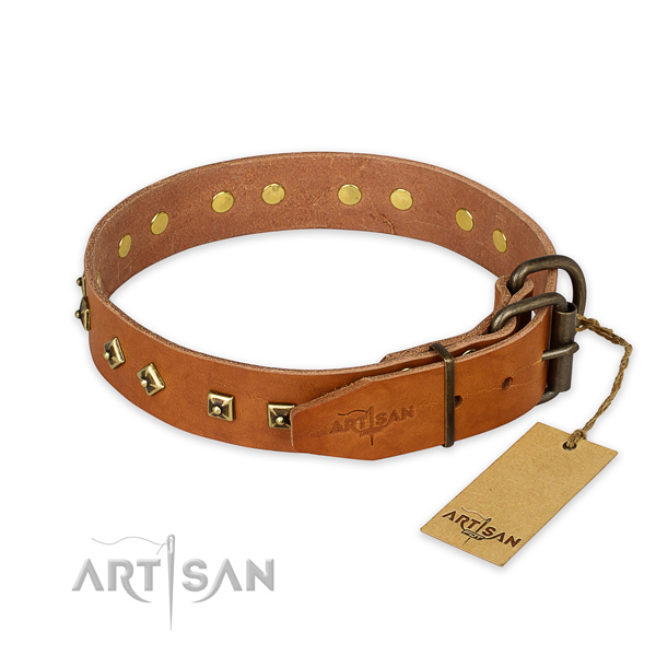 Rust-proof D-ring on leather collar for everyday walking your doggie