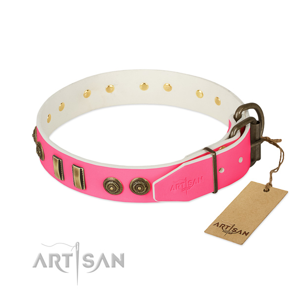 Corrosion resistant adornments on genuine leather dog collar for your doggie