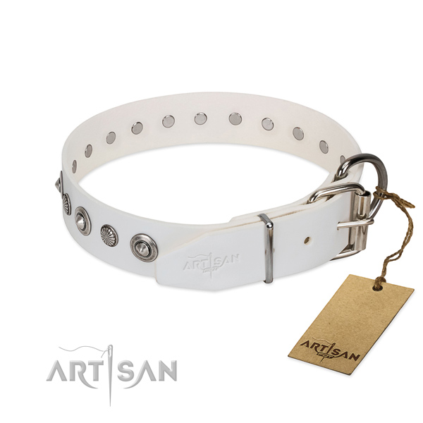 Durable natural leather dog collar with stunning studs