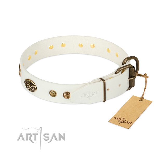 Corrosion resistant studs on leather dog collar for your doggie