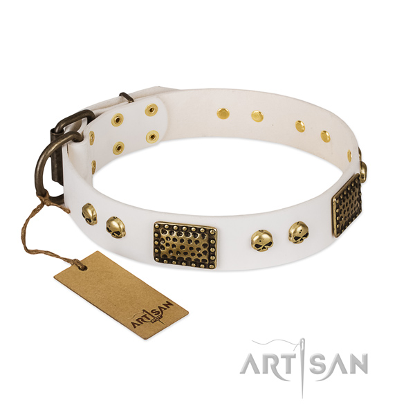 Corrosion resistant buckle on stylish walking dog collar