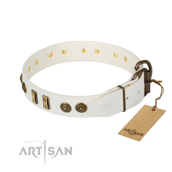 Strong embellishments on leather dog collar for your doggie