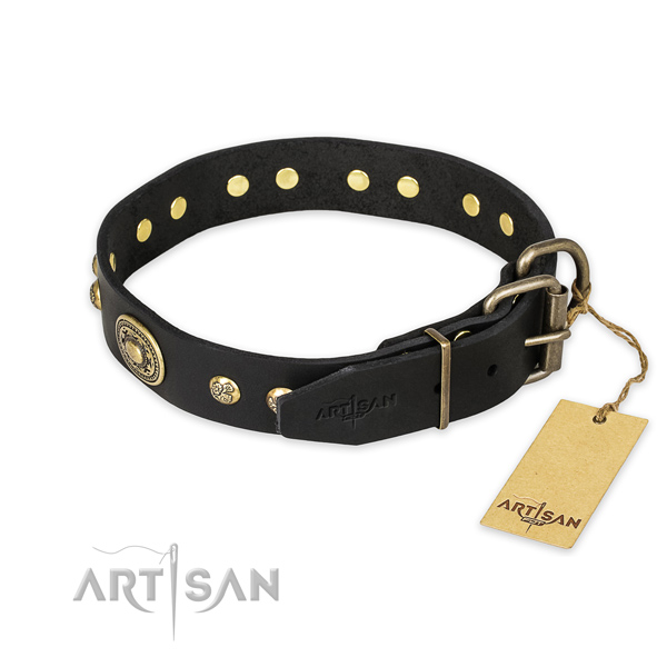 Durable buckle on genuine leather collar for everyday walking your pet