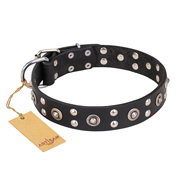 "Refined Essence" FDT Artisan Black Leather Mastiff Collar with Silvery Studs
