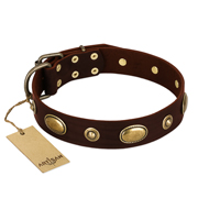 "Hebe's Jewel" FDT Artisan Brown Genuine Leather Mastiff Collar