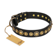 "Gold Mine" FDT Artisan Black Leather Mastiff Collar with Amazing Bronze-Plated Round Studs