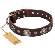 "Extra Pizzazz" FDT Artisan Adorned Brown Leather Mastiff Collar