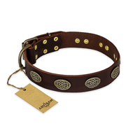 "Chocolate kiss" FDT Artisan Leather Mastiff Collar with Old Bronze Look Oval Plates