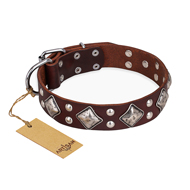 "King of Grace" FDT Artisan Stylish Leather Mastiff Collar with Old Silver-Like Plated Decorations