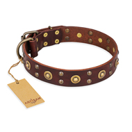 "Caprice of Fashion" FDT Artisan Brown Leather Mastiff Collar with Round Decorations