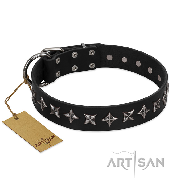 Walking dog collar of fine quality full grain natural leather with adornments