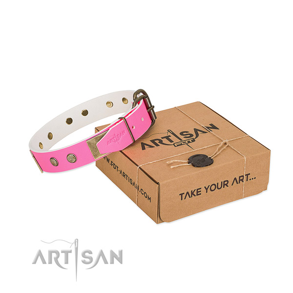 Rust-proof adornments on dog collar for handy use