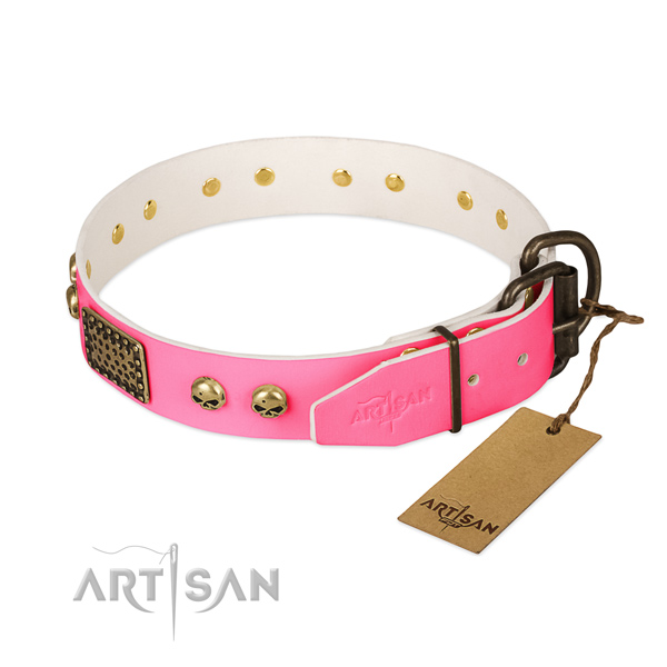Rust-proof decorations on walking dog collar