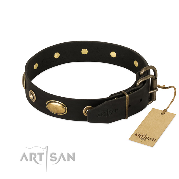 Corrosion proof studs on natural leather dog collar for your pet