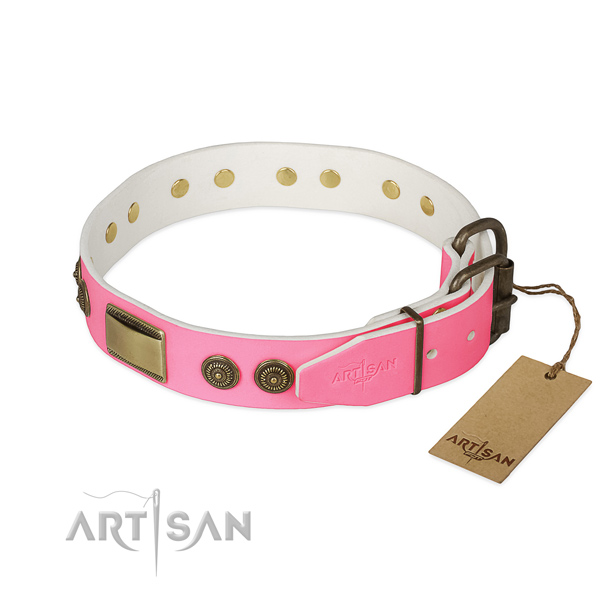Reliable decorations on easy wearing dog collar