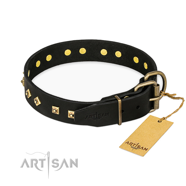 Corrosion resistant hardware on full grain natural leather collar for stylish walking your four-legged friend