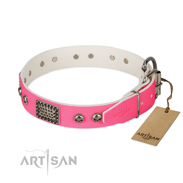 Corrosion resistant fittings on daily walking dog collar