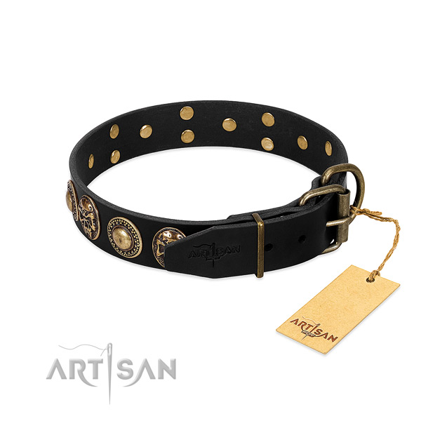 Durable hardware on walking dog collar