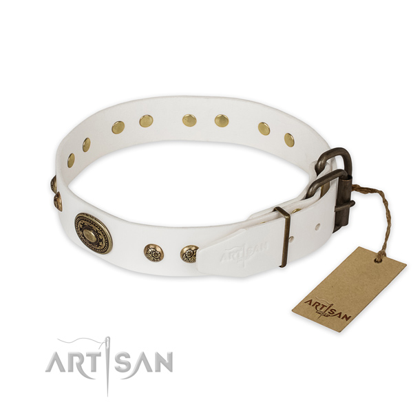 Corrosion proof buckle on full grain leather collar for walking your dog