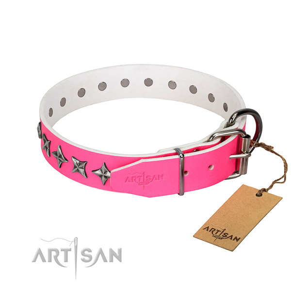 Reliable leather dog collar with unique studs