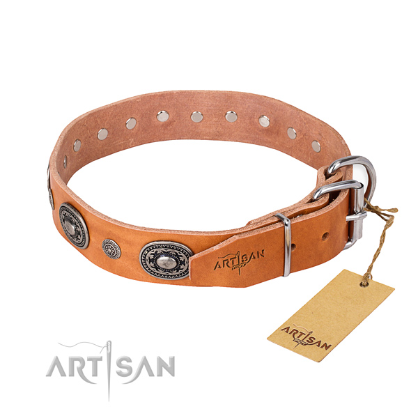 Quality leather dog collar made for everyday use